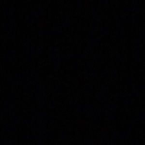 Meet your Posher, Wilson